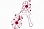 Matriz Bordado Alfabeto Floral Redwork - Imagem 1