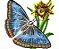 Matriz Bordado Borboleta Com Flores - Imagem 8