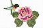 Matriz Bordado A Rosa E O Beija-flor - Imagem 2