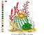 Matriz Bordado Cactus Florido - Imagem 8