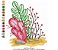 Matriz Bordado Cactus Florido - Imagem 5