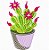 Matriz Bordado Cactus - Imagem 8