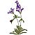 Matriz Bordado Lavanda - Imagem 6