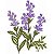 Matriz Bordado Lavanda - Imagem 7