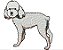 Matriz Bordado Cachorrinho Lindo - Imagem 8