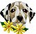 Matriz Bordado Lindos Cachorrinhos Close - Imagem 2