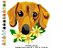 Matriz Bordado Lindos Cachorrinhos Close - Imagem 9