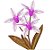 Matriz Bordado Lindas Orquídeas - Imagem 2