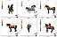 Matriz Bordado Coleção Cavalos 1 - Imagem 5
