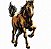 Matriz Bordado Coleção Cavalos 1 - Imagem 3