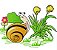 Matriz Bordado Caracol Feliz - Imagem 4