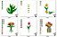 Matriz Bordado Conjunto Amo Tulipas - Imagem 7