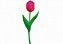 Matriz Bordado Conjunto Amo Tulipas - Imagem 2