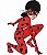 Matriz Bordado Conjunto Ladybug - Imagem 1