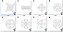 Matriz Bordado Conjunto Quilt 1 - Imagem 5