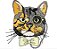 Matriz Bordado Gatos De Óculos - Imagem 2