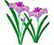 Matriz Bordado Coleção Flor De Iris - Imagem 3
