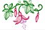Matriz Bordado Flores Rippled Delicadas - Imagem 1