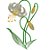 Matriz Bordado Flores Delicadas Grandes - Imagem 3