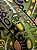 SHAPE SANTA CRUZ JEFF KENDALL SNAKE REISSUE 9,97" - Imagem 3