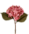 HASTE HORTÊNSIA SILVESTRE BLUSH - Imagem 1