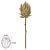 HASTE PROTEA PALHA 53cm - Imagem 1