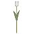 TULIPA REAL TOQUE BRANCA - Imagem 1