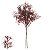 ASTILBE MARSALA EM RAMALHETE 40CM - Imagem 1
