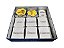 Organizador (SOFT INSERT PARANÁ) para Catan: Piratas e Exploradores (Expansão) - Imagem 5