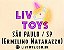 FRETE | FC BUCANEIROS COLLECTION - RETIRADA LIV TOYS - Imagem 1