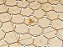 Playmat em MDF para Eclipse - COM CASE - Imagem 4