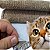 Arranhador Para Gato Gatos Sofá ( Kit Com 2 Und) 60x100 Cm Cole em qualquer lugar ARRANHADORMARROM60X100 - Imagem 1