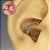 Piercing Orelha Daith Coração Flor 4 ZC Prateado - Imagem 1