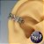 Piercing Orelha Conch Argola Haste Cravejada Folhinhas Prateada - Imagem 1