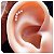Piercing Cluster Midium com 5 Zircônia - Imagem 1