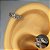 Piercing Argola Torção Dupla Cravejada - Imagem 2