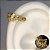 Piercing Orelha Helix Argola Haste Cravejada Folhas - Imagem 1
