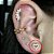 Piercing orelha  Microbell Formas c/ Zircônia - Imagem 9