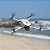 Drone DJI Lito 1 Standard (Sem tela) BR - DJI079 - Imagem 7
