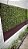 Painel Verde Outono - Imagem 2