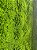 Painel Verde Musgo - Imagem 2