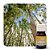 ESSÊCIA EUCALIPTO 30ML - Imagem 1