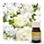 ESSÊNCIA JASMINE 30ML - Imagem 1