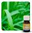 ESSÊNCIA CITRONELA - VELA 30ML - Imagem 1