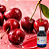 AROMA CEREJA - Imagem 1