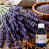 ESSÊNCIA LAVANDA C/ ESPECIARIAS - Imagem 1