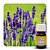 ESSÊNCIA LAVANDA  30ML - Imagem 1