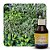 ESSÊNCIA SETE ERVAS 100ML - Imagem 1