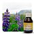 ESSÊNCIA LAVANDA INGLESA 100ML - Imagem 1