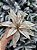 FLOR DECORATIVA CHAMPANHE - 30CM - Imagem 2